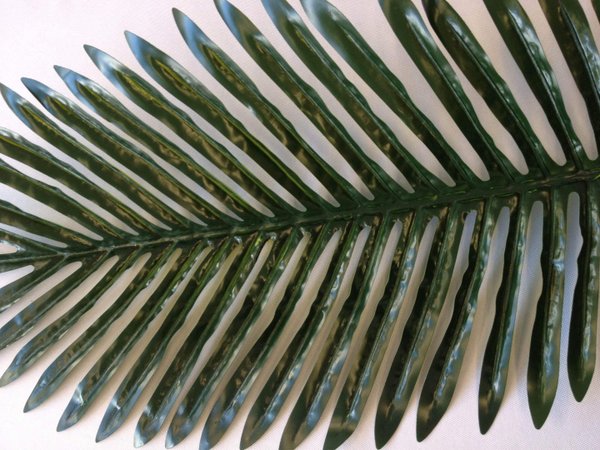 Palmenblatt dunkelgrün (mieten)